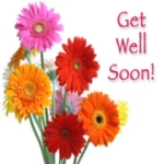 Logo of Get Well Soon Wishes Greeting, Quotes, GIF android Application 